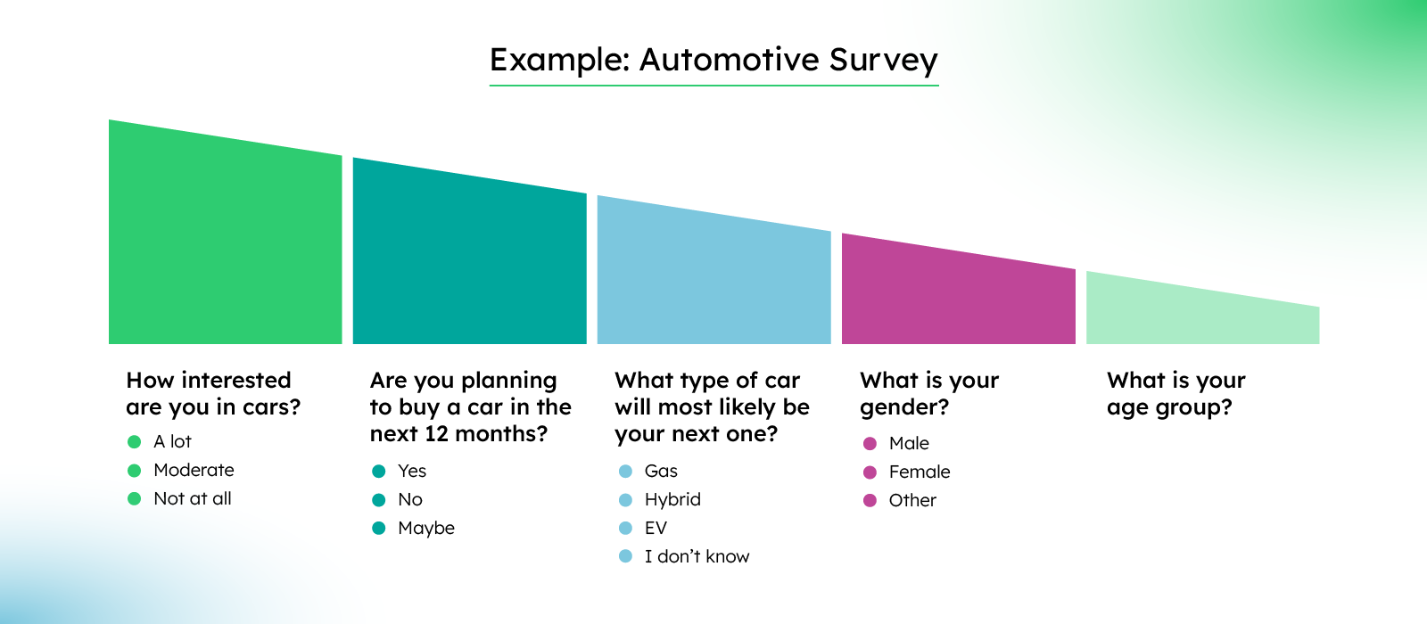 67877f7695e27059b10a43ea_678775926612dbda824ffbed_From20Loss20Signal20BlogGraphics_automotive-survey