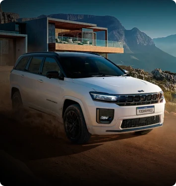 Adlook x Stellantis BR